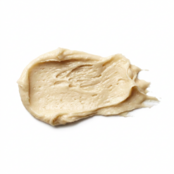 cacao + spearmint + ozone fruit tallow lip balm